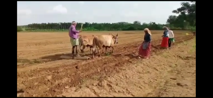 ತಾಲೂಕಿನಲ್ಲಿ ಮುಂಗಾರು ಹಂಗಾಮು ಜೋರು; ಭೂಮಿ ಹದಗೊಳಿಸಿ ಬಿತ್ತನೆ ಕಾರ್ಯ ಮಾಡುತ್ತಿರೋ ಅನ್ನದಾತರು..!