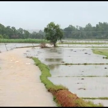 ಮಳೆಯ ಅಬ್ಬರಕ್ಕೆ ಉತ್ತರ ಕನ್ನಡ ತತ್ತರ: ಆಗಿರೋ ಅವಾಂತರಗಳೆಷ್ಟು..?