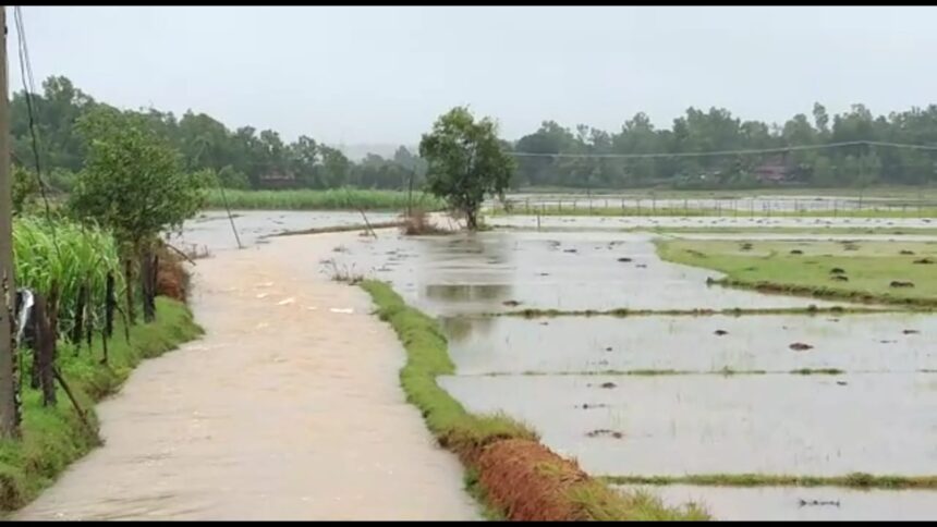 ಮಳೆಯ ಅಬ್ಬರಕ್ಕೆ ಉತ್ತರ ಕನ್ನಡ ತತ್ತರ: ಆಗಿರೋ ಅವಾಂತರಗಳೆಷ್ಟು..?