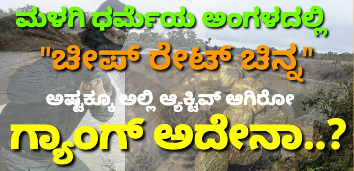 “ಚೀಪ್ ರೇಟ್ ಚಿನ್ನ” ಕ್ಕಾಗಿ ಅವ್ರು ಕಳೆದುಕೊಂಡಿದ್ದು 28 ಲಕ್ಷ..! ಅಷ್ಟಕ್ಕೂ ಅಲ್ಲಿ ಆ್ಯಕ್ಟಿವ್ ಆಗಿರೋ ಗ್ಯಾಂಗ್ ಅದೇನಾ..?