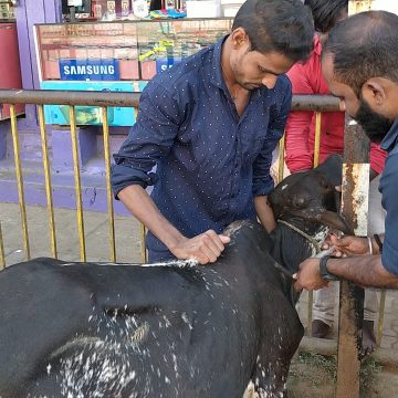 ಮುಂಡಗೋಡ ಯುವಕರ ಮಾನವೀಯ ಕಾರ್ಯ..!