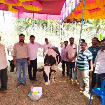 ಕೂರ್ಲಿ ಗ್ರಾಮದಲ್ಲಿ ಪಶು ಸಂಗೋಪನಾ ಇಲಾಖೆಯಿಂದ ಜಾನುವಾರು ಪ್ರದರ್ಶನ..!