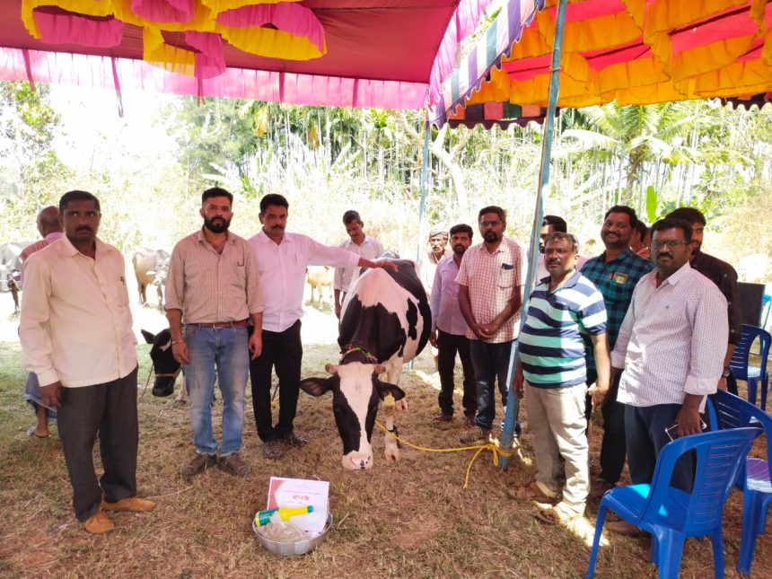 ಕೂರ್ಲಿ ಗ್ರಾಮದಲ್ಲಿ ಪಶು ಸಂಗೋಪನಾ ಇಲಾಖೆಯಿಂದ ಜಾನುವಾರು ಪ್ರದರ್ಶನ..!