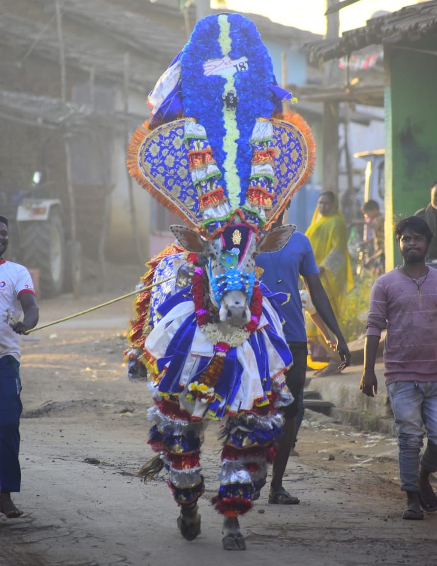 “ಮುಂಡಗೋಡ ಮಹಾರಾಜ್” ಸ್ಪರ್ಧಾ ಹೋರಿ ಅಸ್ತಂಗತವಾಗಿ ಒಂದು ವರ್ಷ, ಅಭಿಮಾನಿಗಳಿಂದ ವಾರ್ಷಿಕ ಪುಣ್ಯತಿಥಿ..!