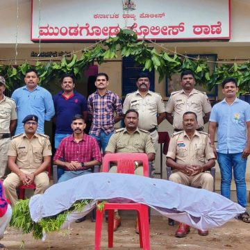 ಗಾಂಜಾ ಬೆಳೆದಿದ್ದ ಚಾಲಾಕಿ ಟಿಬೇಟಿಗನ ಬಂಧನ, ಹಸಿ ಹಸಿ ಗಾಂಜಾ ವಶಕ್ಕೆ ಪಡೆದ ಮುಂಡಗೋಡ ಪೊಲೀಸ್ರು..!