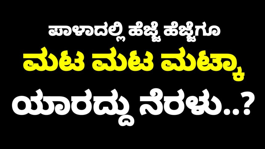 ಪಾಳಾ ಭಾಗದಲ್ಲಿ ಹೆಜ್ಜೆ ಹೆಜ್ಜೆಗೂ ಮಟ ಮಟ ಮಟ್ಕಾ, ಅಸಲು, ದಂಧೆ ನಡಿತಿರೋದು ಯಾರ ನೆರಳಲ್ಲಿ ಗೊತ್ತಾ..? “ಮಟ್ಕಾಲಿ”ಯ ಅಡ್ಡಕಸುಬಿಗೆ ಶ್ರೀ ರಕ್ಷೆ ಯಾರದ್ದು..?