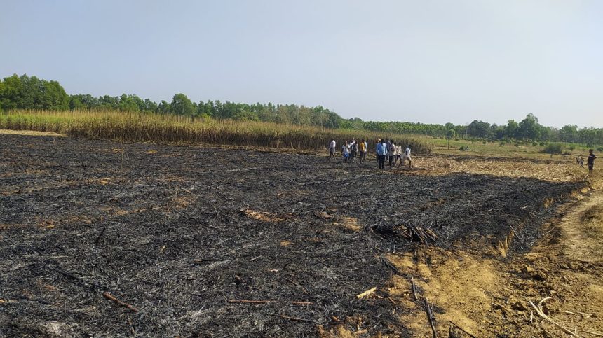 ಕೊಪ್ಪದಲ್ಲಿ ಆಕಸ್ಮಿಕ ಬೆಂಕಿ ಅನಾಹುತ, ಕಬ್ಬು ಬೆಂಕಿಗಾಹುತಿ..!