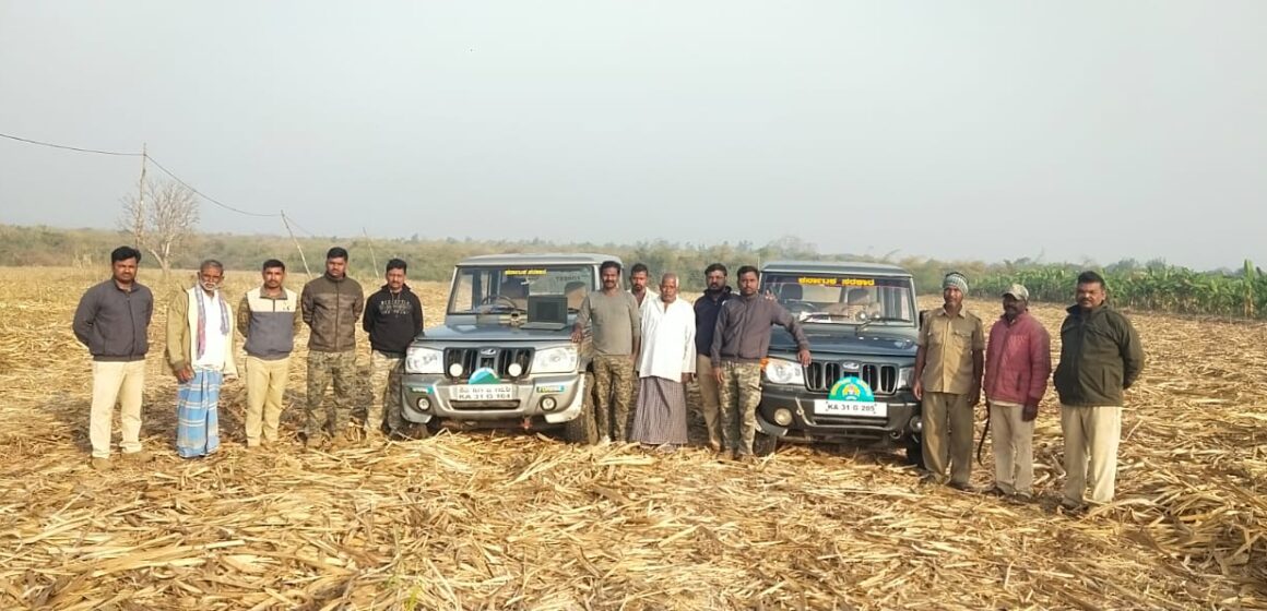 ಎಂಟು ದಿನಗಳ ನಂತ್ರ, ಕೊನೆಗೂ ತಾಯಿ ಮಡಿಲು ಸೇರಿದ ಚಿರತೆ ಮರಿಗಳು, ನಿಟ್ಟುಸಿರು ಬಿಟ್ಟ ಮುಂಡಗೋಡ  ಅರಣ್ಯ ಅಧಿಕಾರಿಗಳು..!