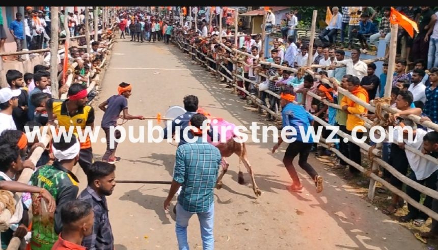 ಮುಂಡಗೋಡ ಹಳೂರಿನ ಹೋರಿ ಹಬ್ಬ ಅರ್ದಕ್ಕೆ ಬಂದ್..!