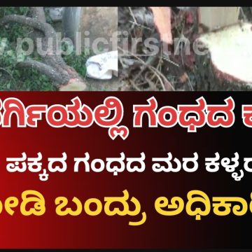 ನ್ಯಾಸರ್ಗಿಯಲ್ಲಿ ಶ್ರೀಗಂಧದ ಮರ ಕಡಿದುಕೊಂಡು ಹೋದ್ರು ಕಳ್ಳರು, ಆಮೇಲೆ ಓಡೋಡಿ ಬಂದ್ರು “ಅ”ರಣ್ಯ ಅಧಿಕಾರಿಗಳು..!