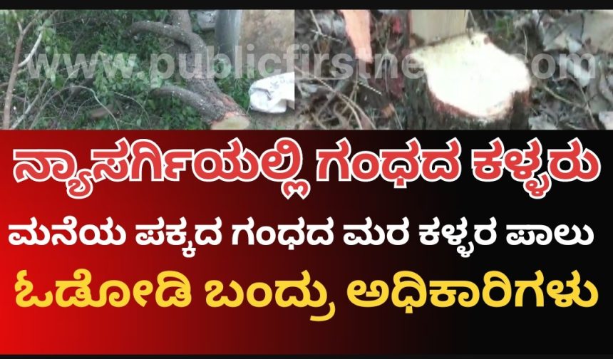 ನ್ಯಾಸರ್ಗಿಯಲ್ಲಿ ಶ್ರೀಗಂಧದ ಮರ ಕಡಿದುಕೊಂಡು ಹೋದ್ರು ಕಳ್ಳರು, ಆಮೇಲೆ ಓಡೋಡಿ ಬಂದ್ರು “ಅ”ರಣ್ಯ ಅಧಿಕಾರಿಗಳು..!