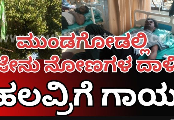 ಮುಂಡಗೋಡ ನೆಹರು ನಗರದಲ್ಲಿ ಜೇನುದಾಳಿ 6 ಜನರಿಗೆ ಗಾಯ, ಮೂವರು ಗಂಭೀರ..!