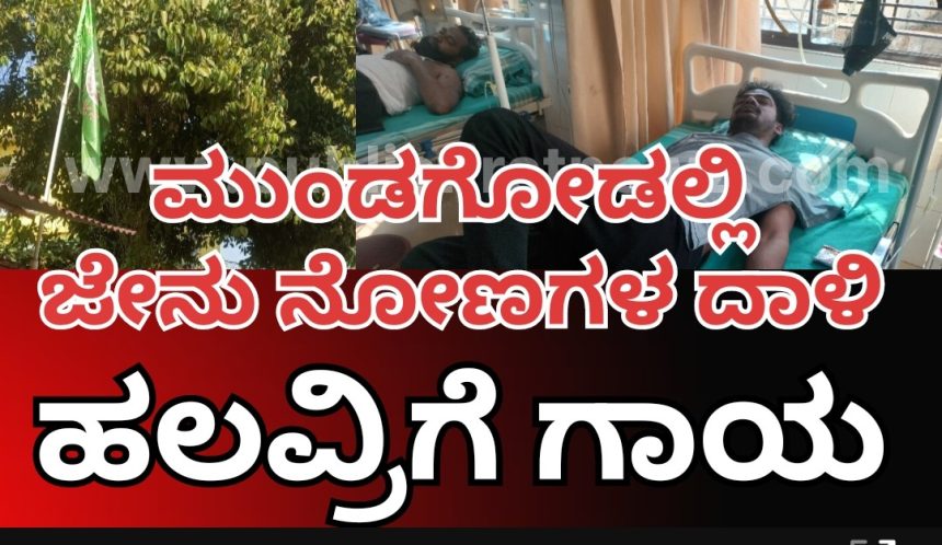 ಮುಂಡಗೋಡ ನೆಹರು ನಗರದಲ್ಲಿ ಜೇನುದಾಳಿ 6 ಜನರಿಗೆ ಗಾಯ, ಮೂವರು ಗಂಭೀರ..!