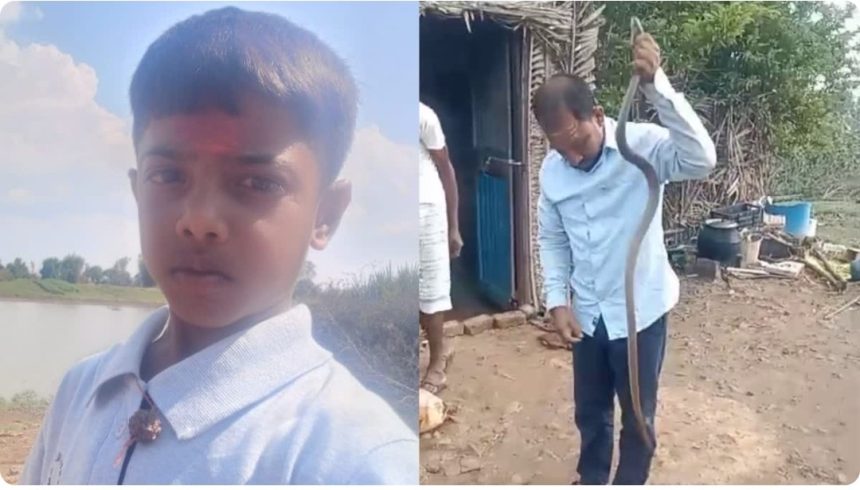 ತಮ್ಮ ಮಗನನ್ನೇ ಕಚ್ಚಿ ಕೊಂದಿದ್ದ ವಿಷ ಸರ್ಪವನ್ನು ಜೋಪಾನವಾಗಿ ಹಿಡಿದು ಕಾಡಿಗೆ ಬಿಟ್ಟ ಕುಟುಂಬ..!