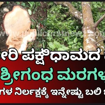 ಅತ್ತಿವೇರಿ ಪಕ್ಷಿಧಾಮದ ಕೂಗಳತೆ ದೂರದಲ್ಲಿ ಮತ್ತೆ ಎರಡು ಶ್ರೀಗಂಧದ ಮರ ಕಳ್ಳತನ..! ಇಲ್ಲಿನ ಅಧಿಕಾರಿಗಳ ನಿರ್ಲಕ್ಷಕ್ಕೆ ಇನ್ನೇಷ್ಟು ಬಲಿ ಬೇಕು..?