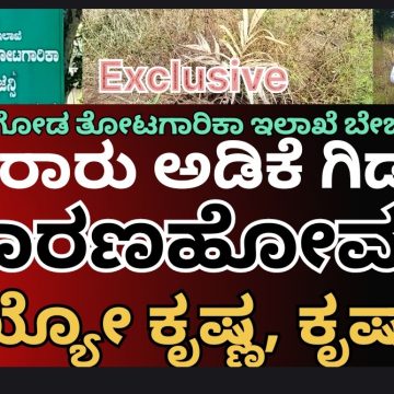 ಬಾಚಣಕಿಯಲ್ಲಿ “ಸರ್ಕಾರಿ” ಅಡಿಕೆ ಸಸಿಗಳ ಮಾರಣ ಹೋಮ..! ತೋಟಗಾರಿಕಾ ಅಧಿಕಾರಿಗಳ ಕಣ್ಗಾವಲಲ್ಲೇ ನಡೀತಾ ದುಷ್ಕೃತ್ಯ..? ಅಯ್ಯೋ ಕೃಷ್ಣ, ಕೃಷ್ಣಾ..!!