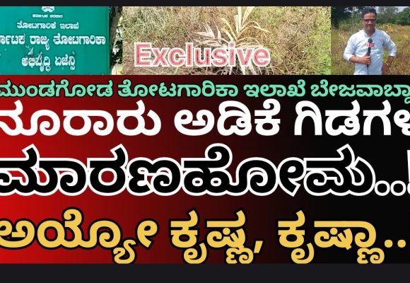 ಬಾಚಣಕಿಯಲ್ಲಿ “ಸರ್ಕಾರಿ” ಅಡಿಕೆ ಸಸಿಗಳ ಮಾರಣ ಹೋಮ..! ತೋಟಗಾರಿಕಾ ಅಧಿಕಾರಿಗಳ ಕಣ್ಗಾವಲಲ್ಲೇ ನಡೀತಾ ದುಷ್ಕೃತ್ಯ..? ಅಯ್ಯೋ ಕೃಷ್ಣ, ಕೃಷ್ಣಾ..!!