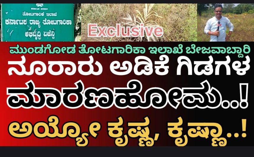 ಬಾಚಣಕಿಯಲ್ಲಿ “ಸರ್ಕಾರಿ” ಅಡಿಕೆ ಸಸಿಗಳ ಮಾರಣ ಹೋಮ..! ತೋಟಗಾರಿಕಾ ಅಧಿಕಾರಿಗಳ ಕಣ್ಗಾವಲಲ್ಲೇ ನಡೀತಾ ದುಷ್ಕೃತ್ಯ..? ಅಯ್ಯೋ ಕೃಷ್ಣ, ಕೃಷ್ಣಾ..!!