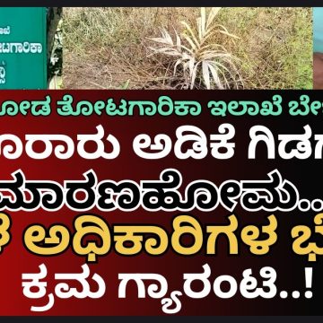 ಬಾಚಣಕಿ ಸರ್ಕಾರಿ “ಅಡಿಕೆ ಗಿಡಗಳ” ಮಾರಣ ಹೋಮ ಕೇಸ್..! ನಾಳೆಯೇ ಸ್ಥಳಕ್ಕೆ ಅಧಿಕಾರಿಗಳ ಟೀಂ ಭೇಟಿ,  ತಪ್ಪಿತಸ್ಥರ ವಿರುದ್ಧ ಕ್ರಮ ಗ್ಯಾರಂಟಿ ಅಂದ್ರು ಡಿಡಿ ಡಾ.ಬಿ.ಪಿ. ಸತೀಶ್..!