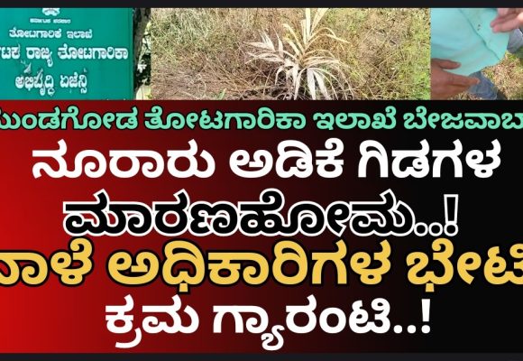 ಬಾಚಣಕಿ ಸರ್ಕಾರಿ “ಅಡಿಕೆ ಗಿಡಗಳ” ಮಾರಣ ಹೋಮ ಕೇಸ್..! ನಾಳೆಯೇ ಸ್ಥಳಕ್ಕೆ ಅಧಿಕಾರಿಗಳ ಟೀಂ ಭೇಟಿ,  ತಪ್ಪಿತಸ್ಥರ ವಿರುದ್ಧ ಕ್ರಮ ಗ್ಯಾರಂಟಿ ಅಂದ್ರು ಡಿಡಿ ಡಾ.ಬಿ.ಪಿ. ಸತೀಶ್..!