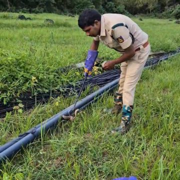 ಕಾತೂರು| ಓರಲಗಿ ಗದ್ದೆಯ ಪೈಪಿನಲ್ಲಿ ಸಿಲುಕಿ ಒದ್ದಾಡುತ್ತಿದ್ದ ನಾಗರಹಾವಿನ ರಕ್ಷಣೆ..!