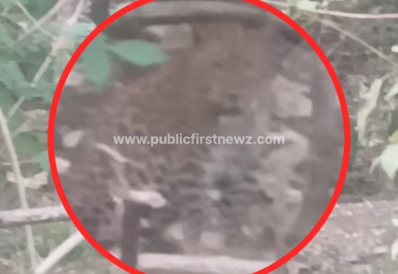 ಎಚ್ಚರ, ಎಚ್ಚರ..! ತಡಸ ತಾಯವ್ವನ ದೇವಸ್ಥಾನದ ಸಮೀಪ ಚಿರತೆ ಪ್ರತ್ಯಕ್ಷ..!