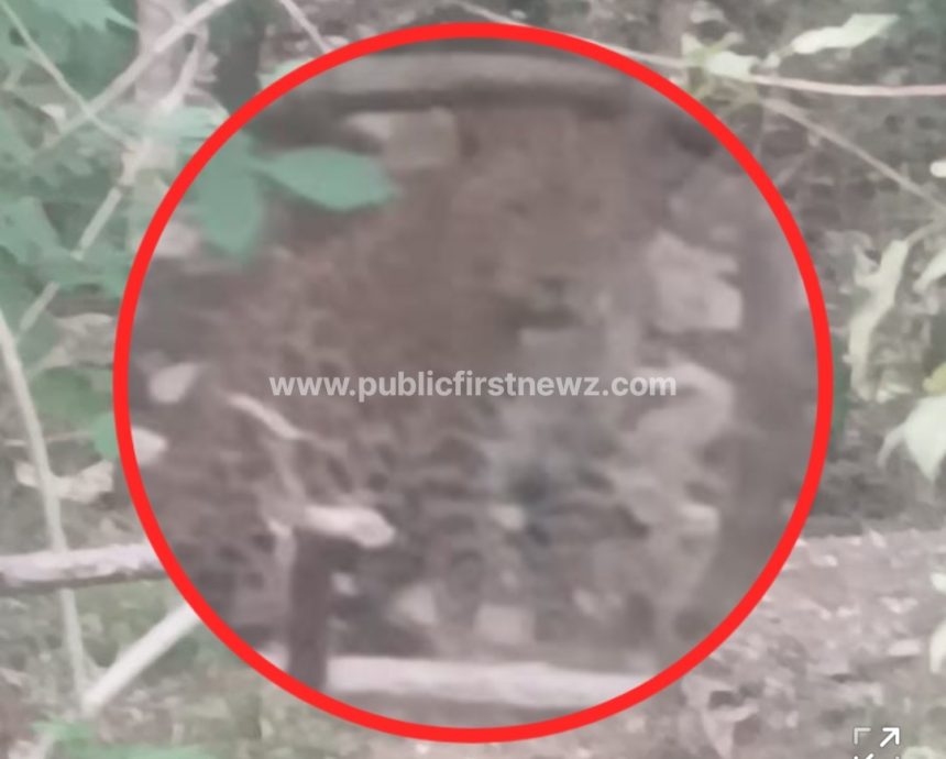 ಎಚ್ಚರ, ಎಚ್ಚರ..! ತಡಸ ತಾಯವ್ವನ ದೇವಸ್ಥಾನದ ಸಮೀಪ ಚಿರತೆ ಪ್ರತ್ಯಕ್ಷ..! ಎಚ್ಚರ, ಎಚ್ಚರ..! ತಡಸ ತಾಯವ್ವನ ದೇವಸ್ಥಾನದ ಸಮೀಪ ಚಿರತೆ ಪ್ರತ್ಯಕ್ಷ..!