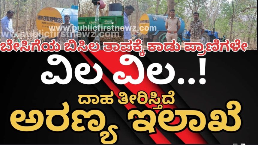 ಬಿರು ಬೇಸಿಗೆಯಲ್ಲಿ ನೀರಿಗಾಗಿ ಕಾಡು ಪ್ರಾಣಿಗಳ ಪರದಾಟ, ಕೃತಕ ತೊಟ್ಟಿಗಳಲ್ಲಿ  ನೀರು ಉಣಿಸ್ತಿದೆ ಮುಂಡಗೋಡ ಅರಣ್ಯ ಇಲಾಖೆ..!