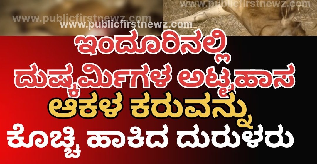 ಇಂದೂರಿನಲ್ಲಿ ಘೋರ ಕೃತ್ಯ, ಆಕಳ ಕರುವಿನ ಕರುಳನ್ನೇ ಕತ್ತರಿಸಿ ಹೋದ ದುಷ್ಕರ್ಮಿಗಳು..!